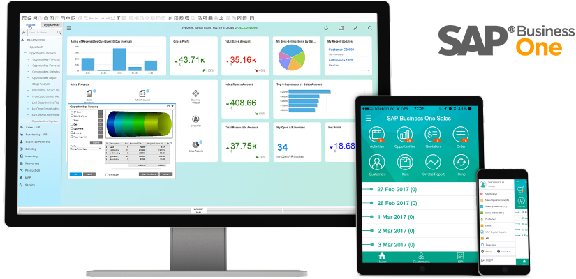 SAP Business One on Device